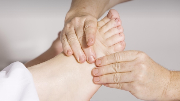 526aea2dae242ee22b402f9aed317acf_1764052