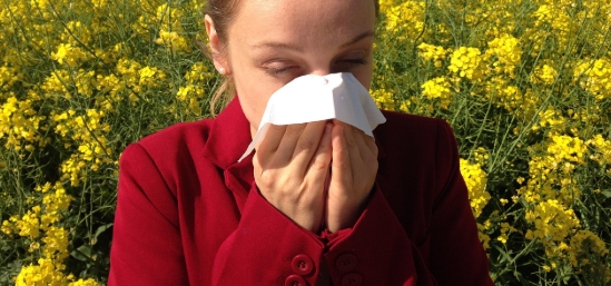 a917f328f646772a96ecafaca5ceacb8_1768445